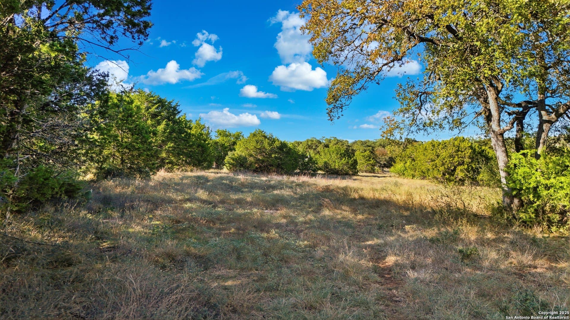 1.34 acres in Comal County - photo 10