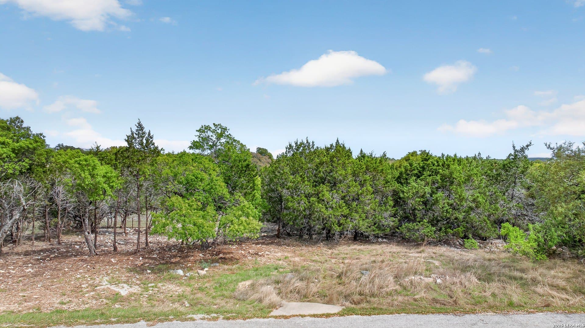 0.2 acres in Blanco County - photo 3