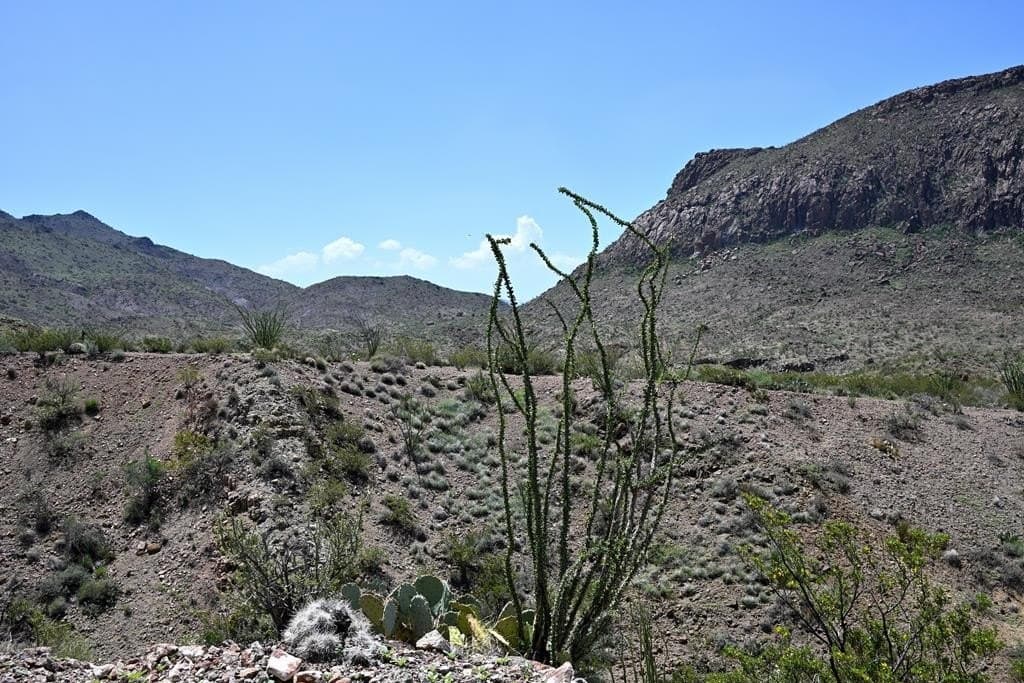 80 acres in Brewster County - photo 56