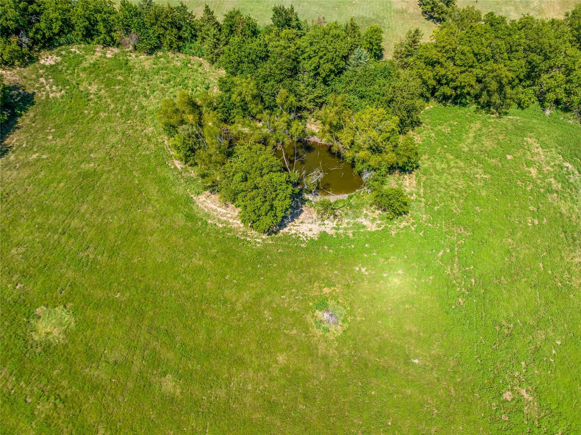 15 acres in Lamar County - photo 2