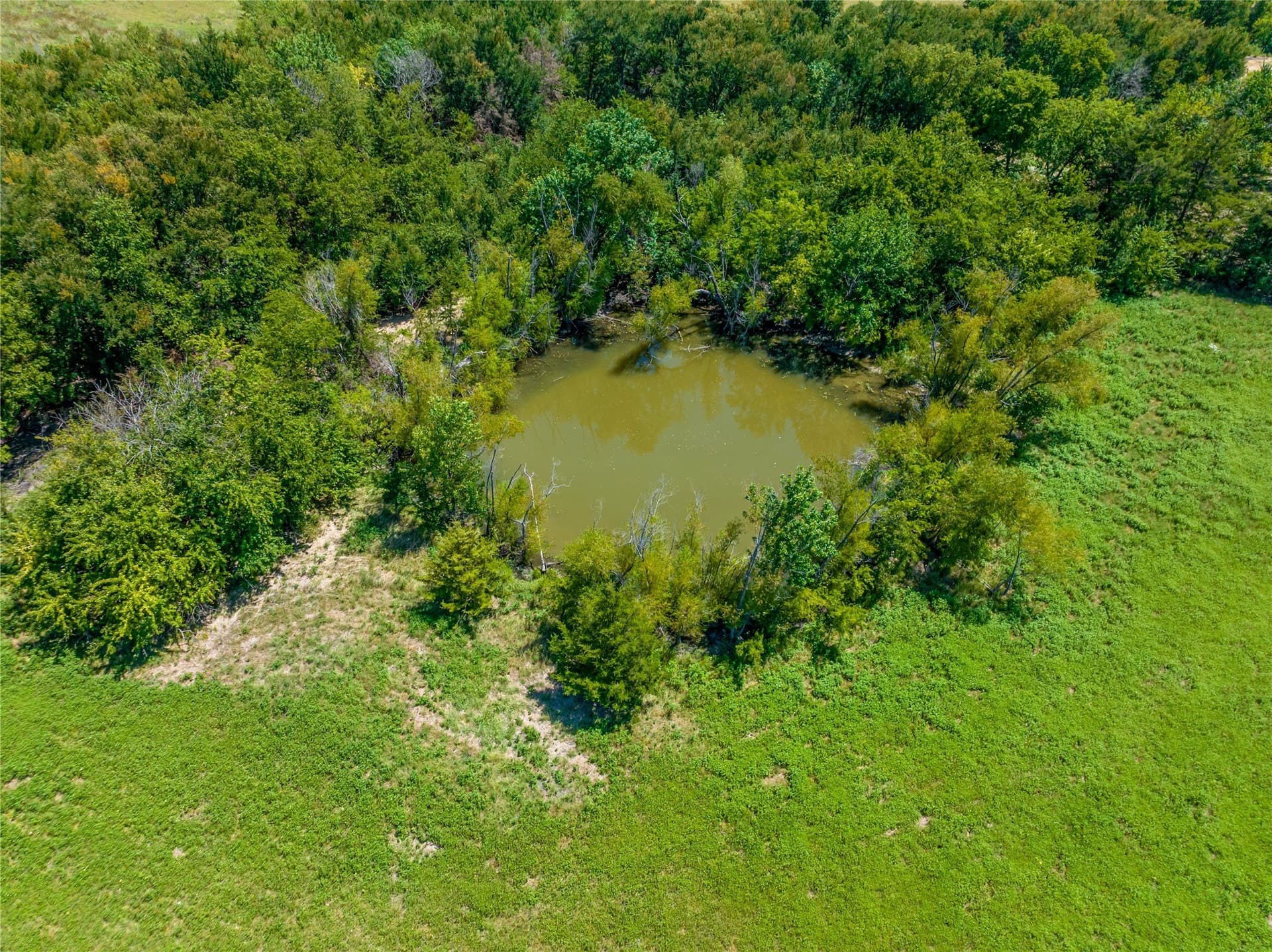 15 acres in Lamar County - photo 4