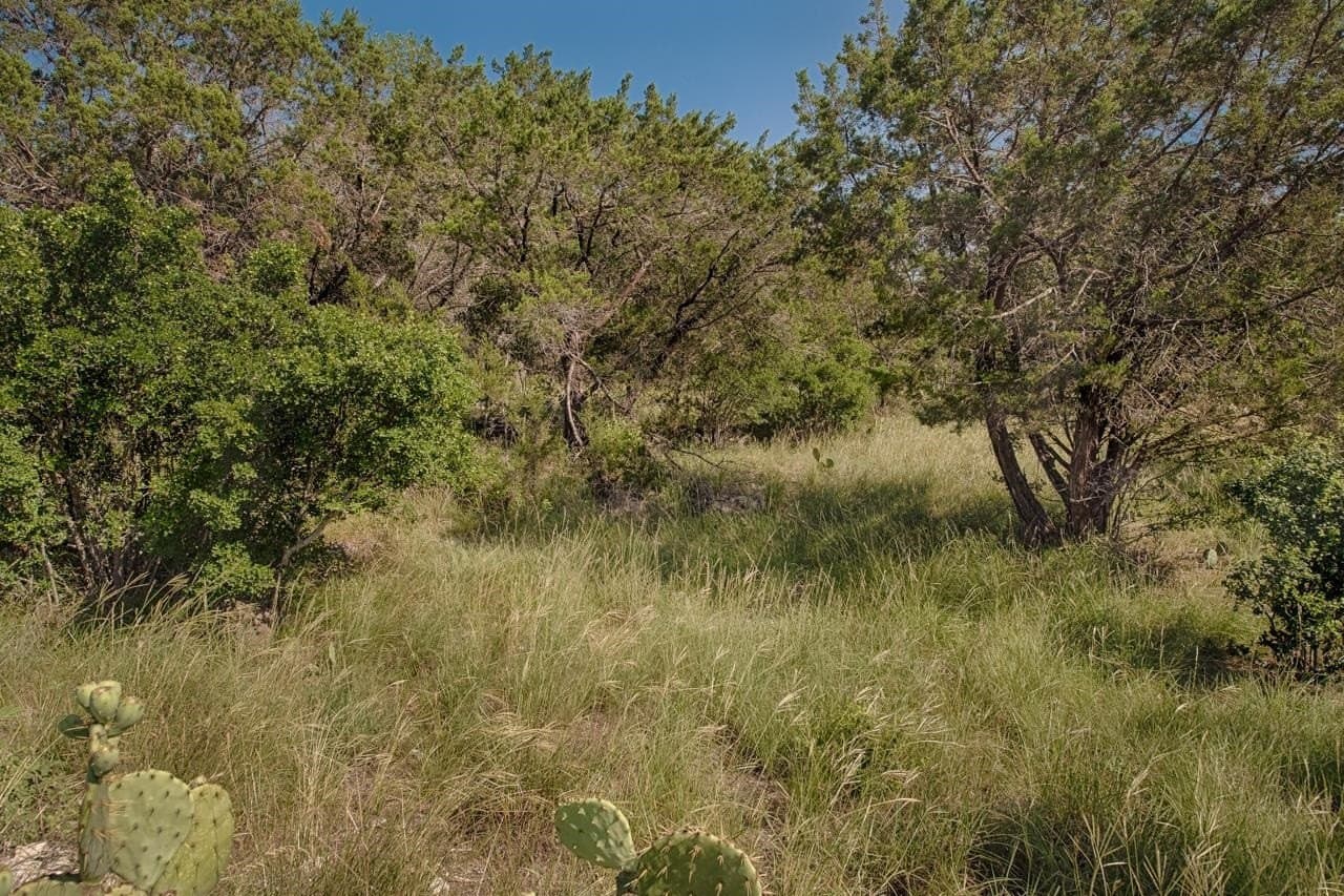 0.24 acres in Llano County gallery image 4