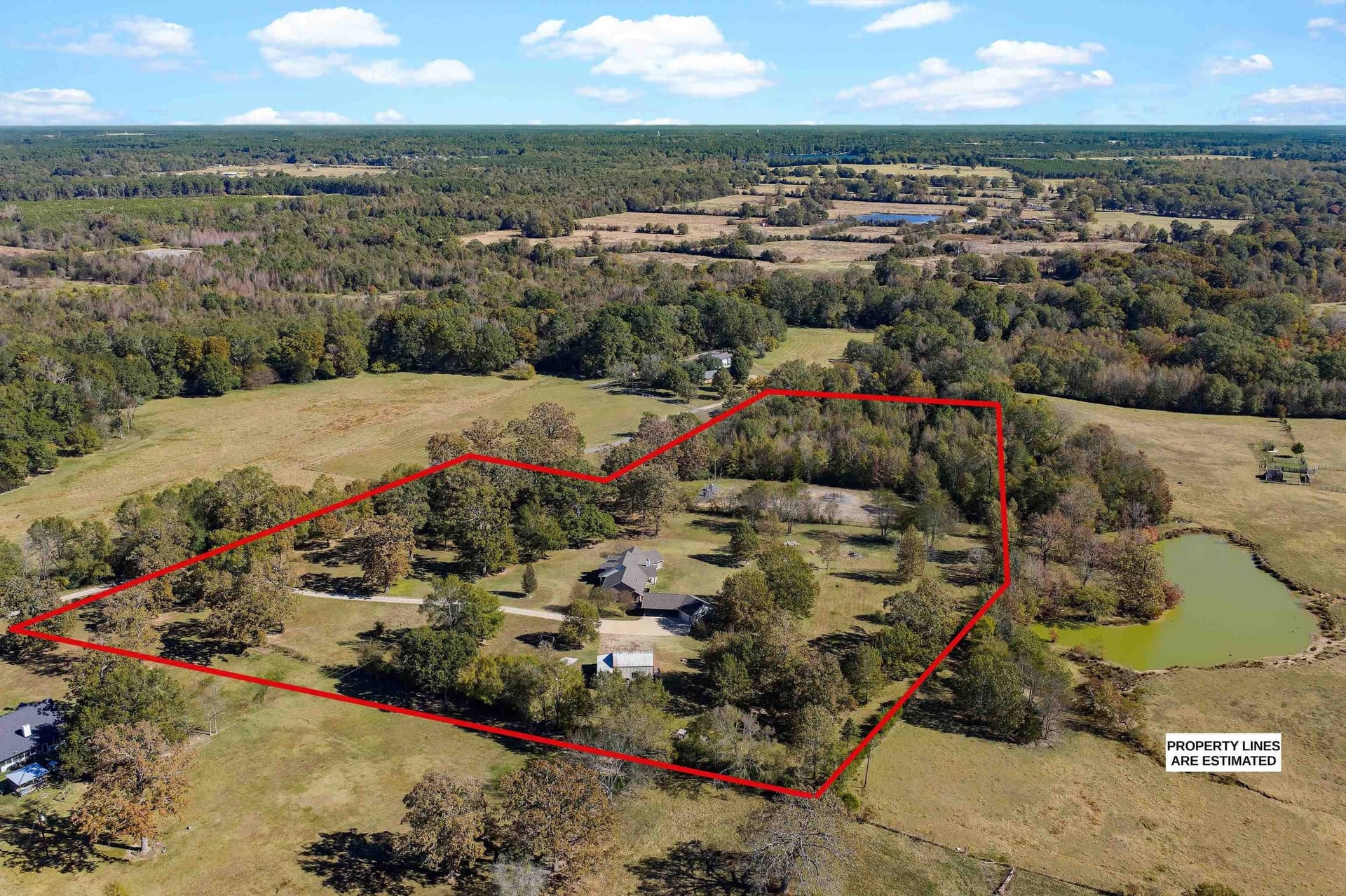 10.12 acres in Panola County gallery image 3