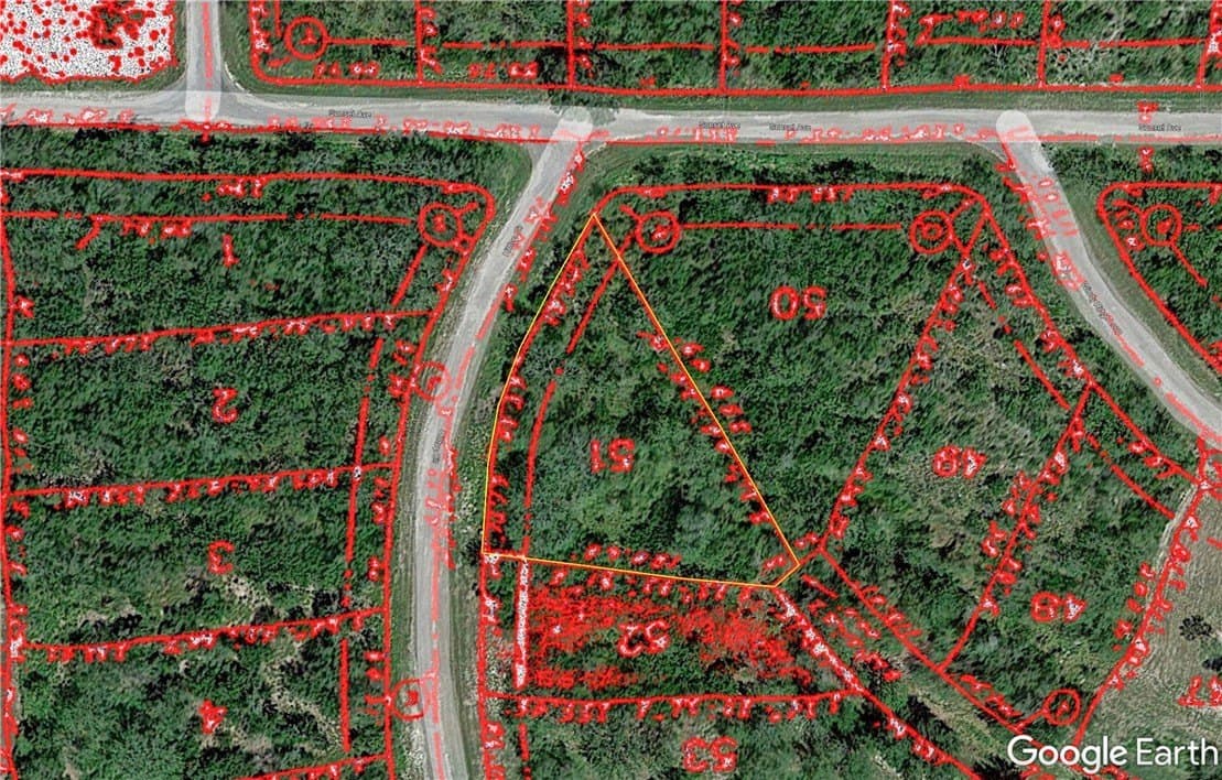 0.51 acres in Live Oak County gallery image 2