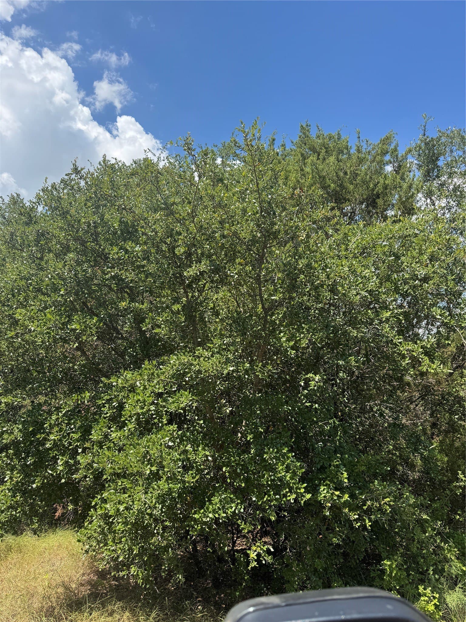 55.42 acres in Hood County - photo 3