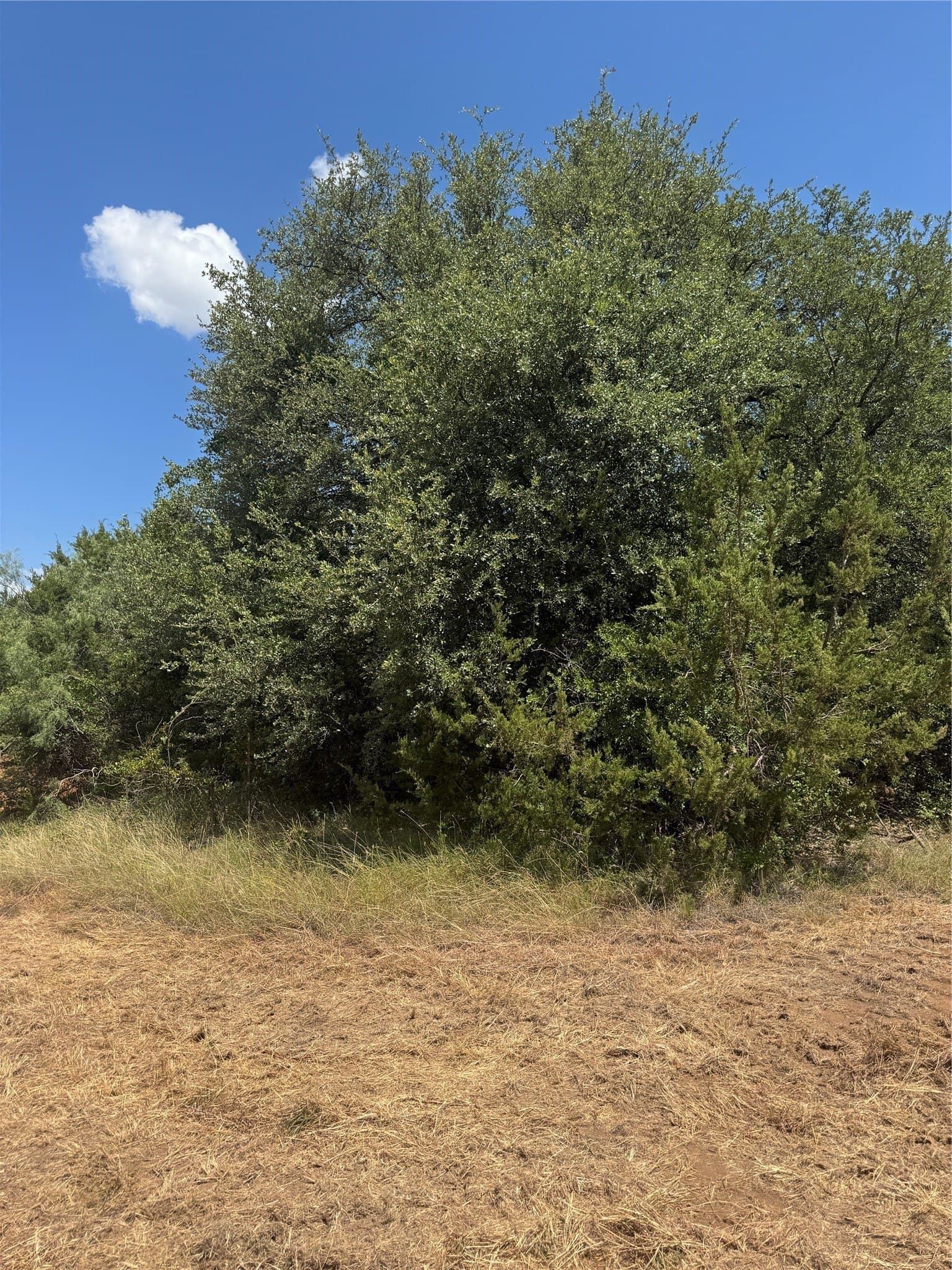 55.42 acres in Hood County - photo 7