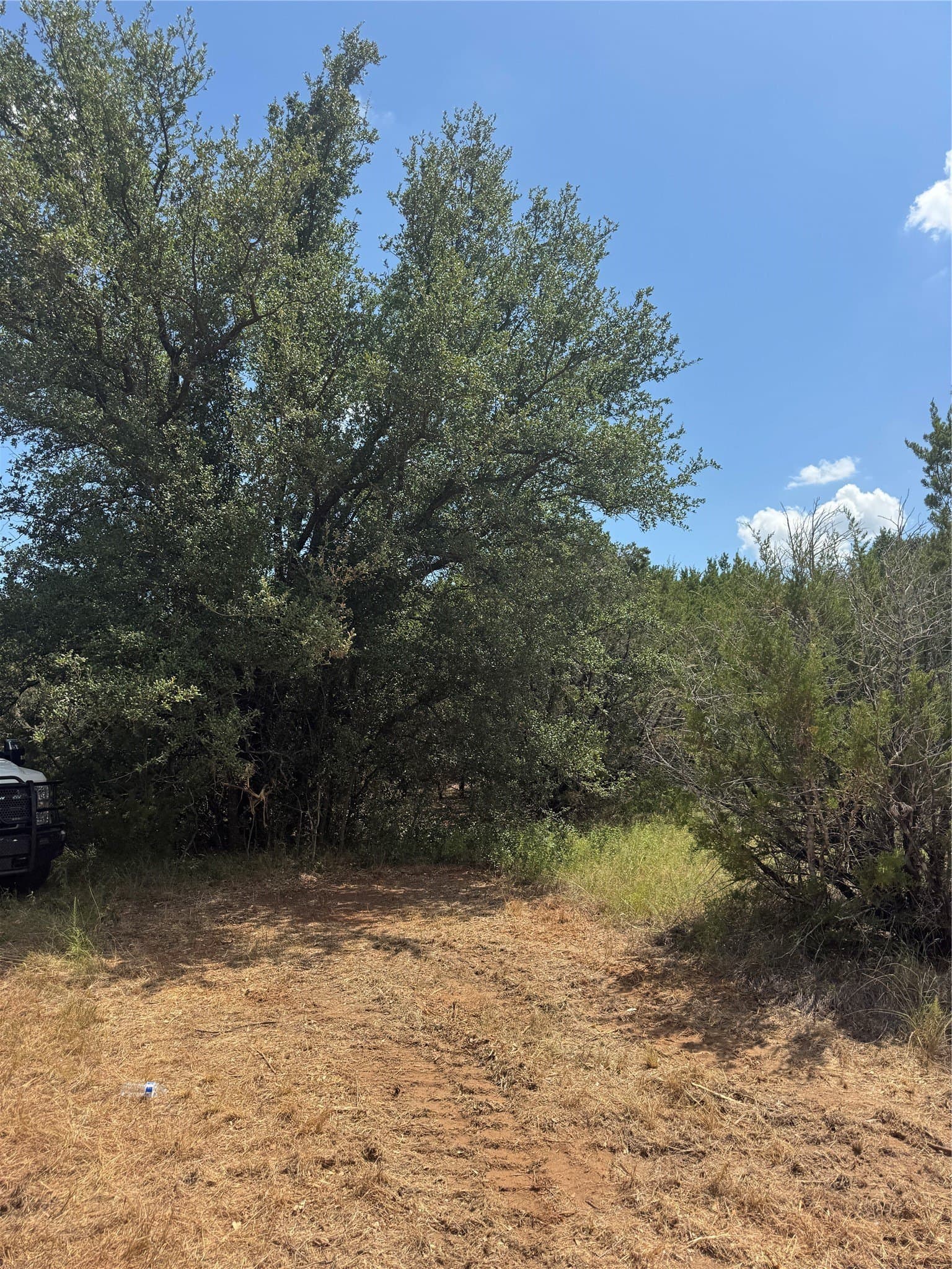 55.42 acres in Hood County - photo 8