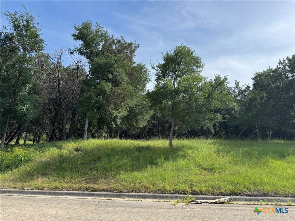 0.33 acres in Bell County gallery image 2