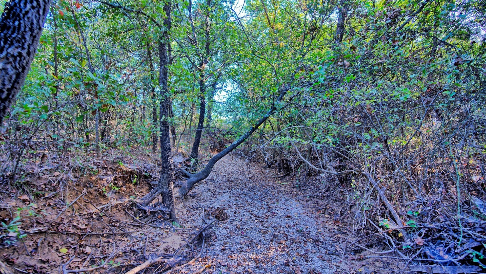 46 acres in Clay County - photo 15