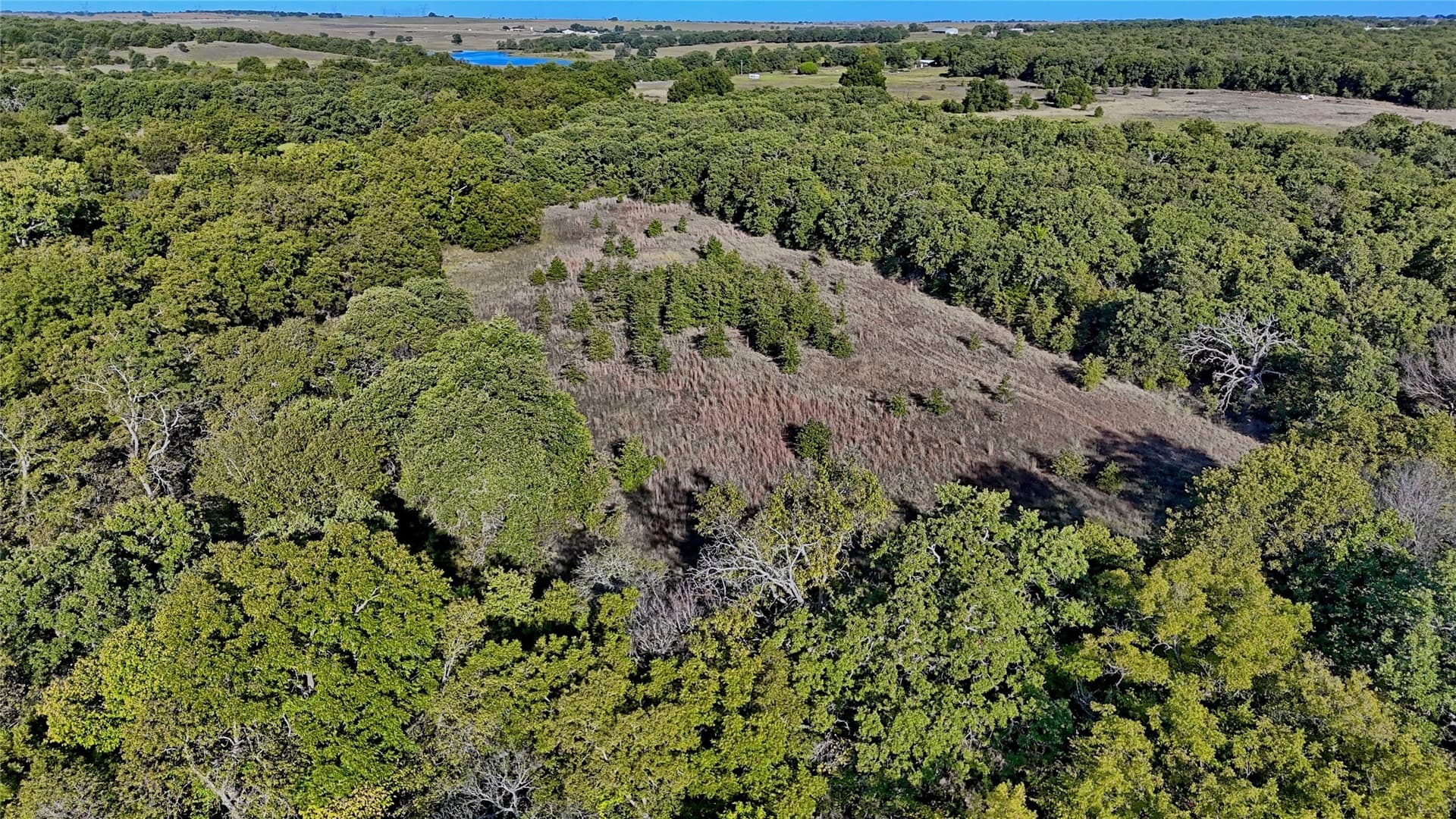 46 acres in Clay County - photo 8