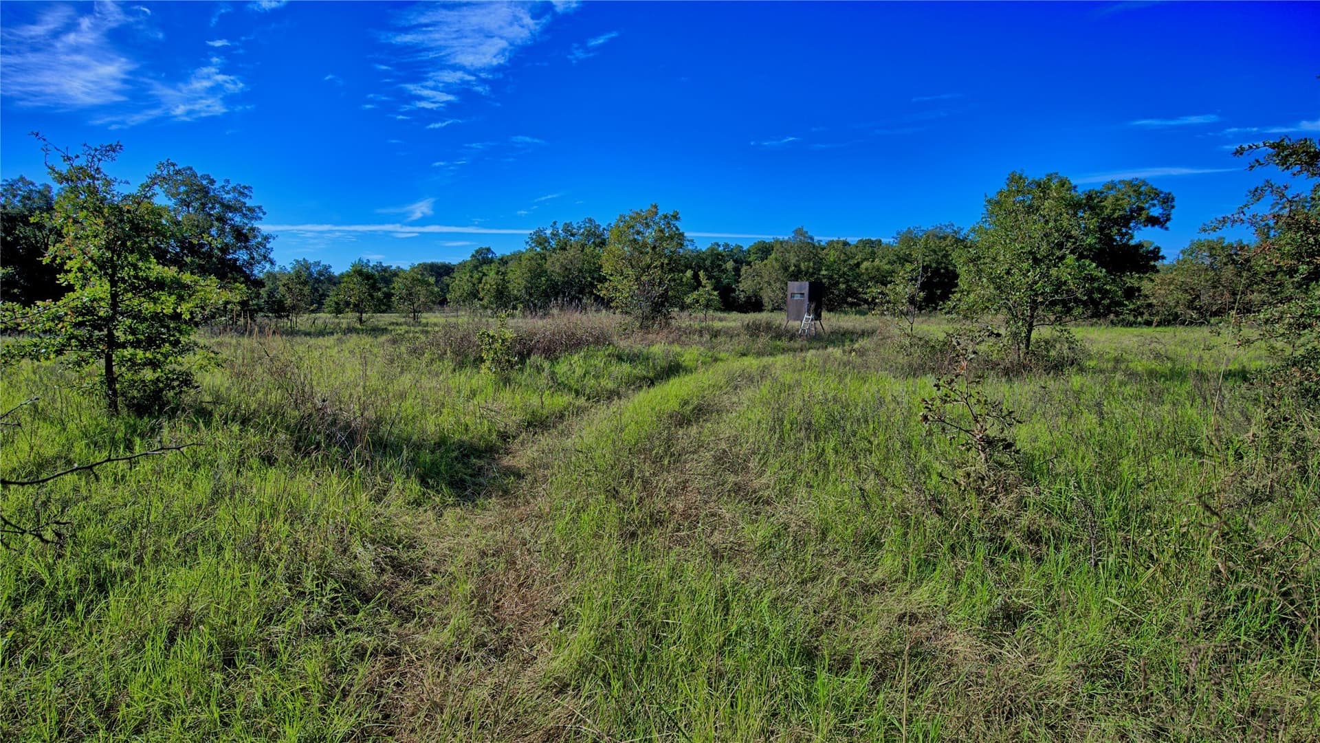 46 acres in Clay County - photo 25