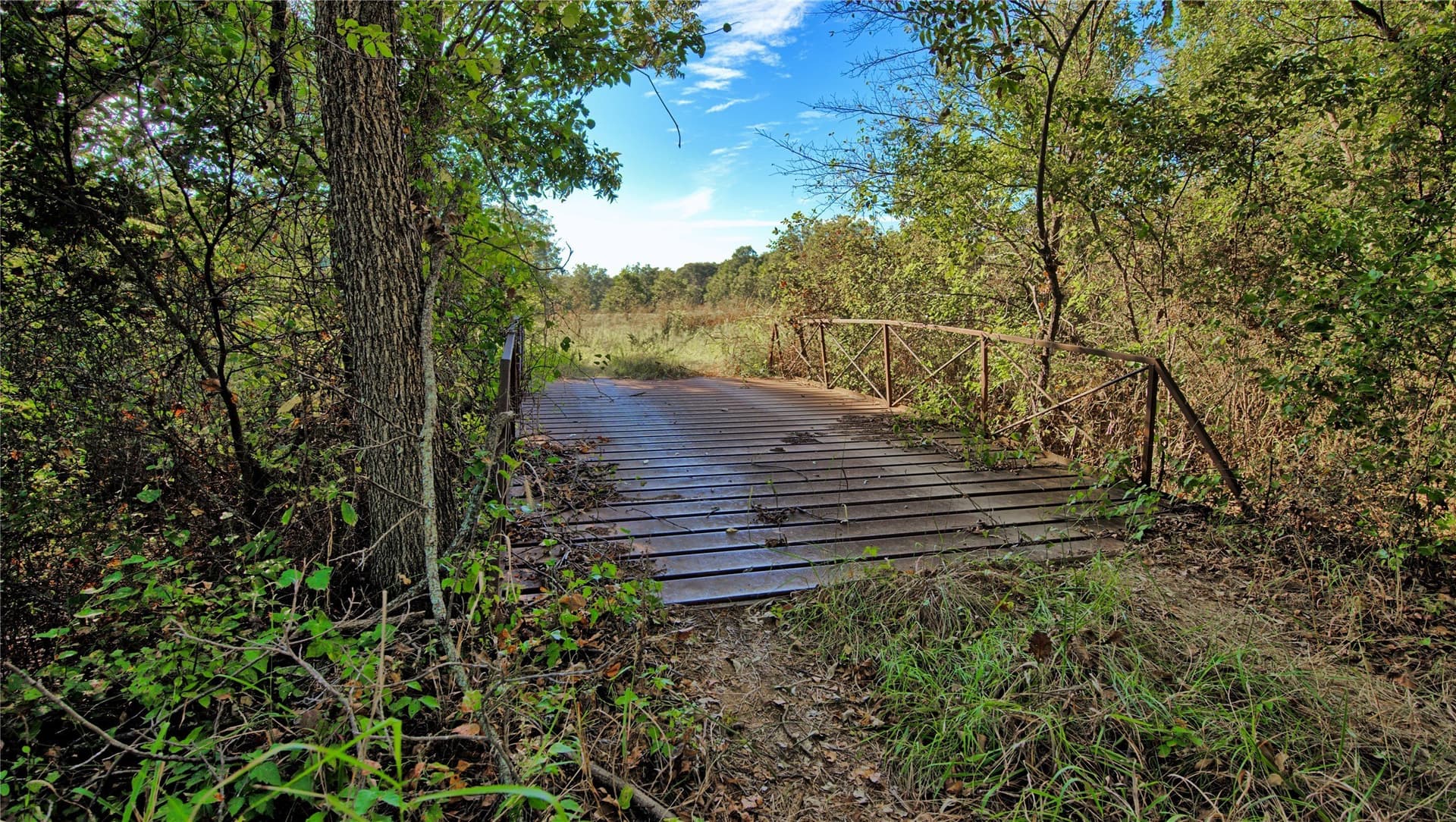 46 acres in Clay County - photo 33