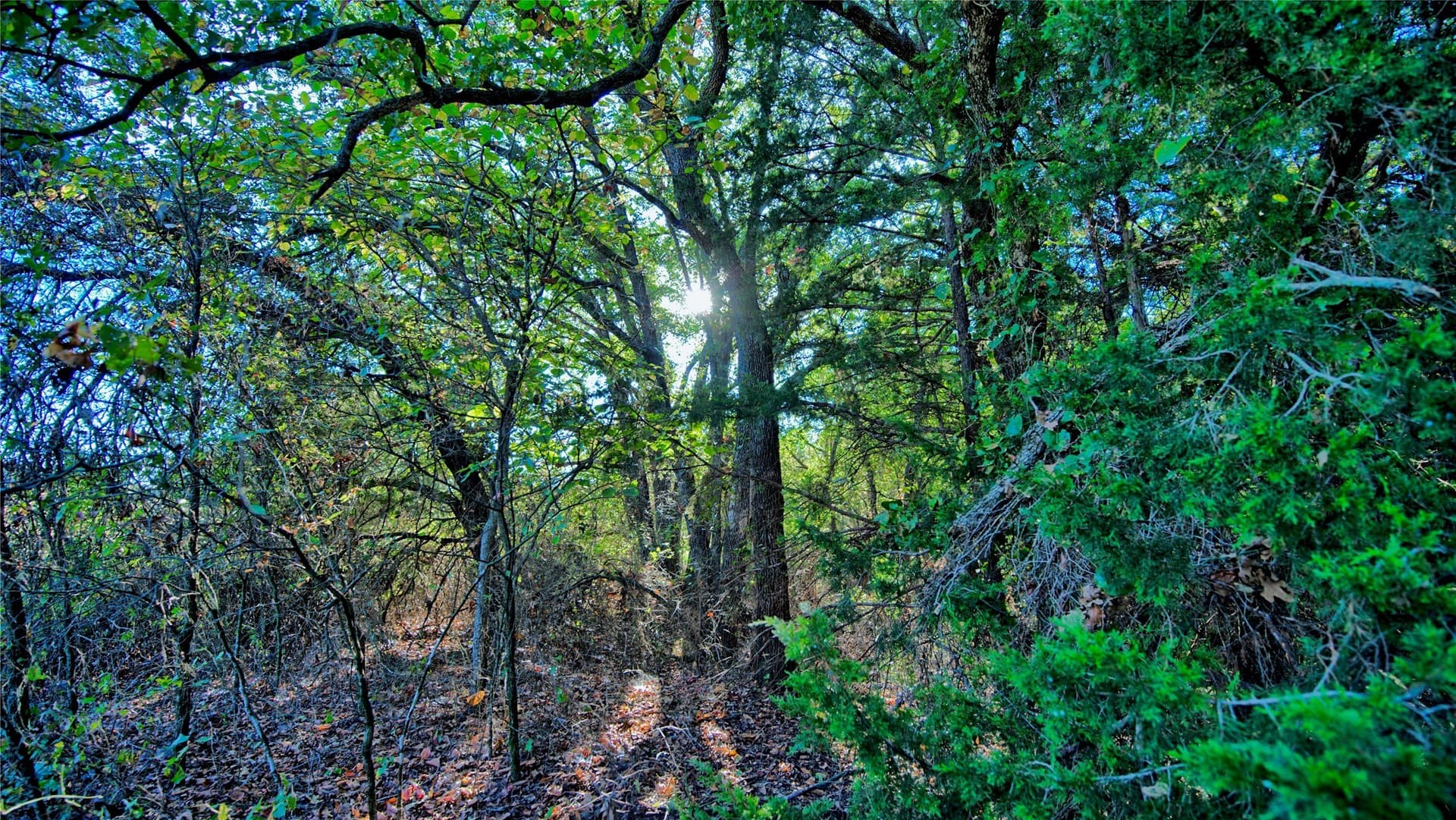 46 acres in Clay County - photo 16