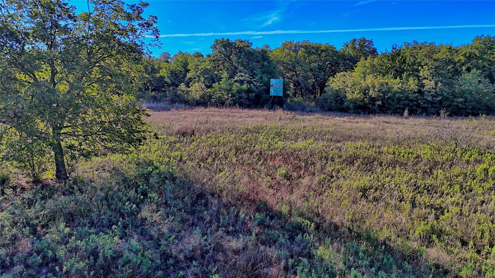 46 acres in Clay County - photo 11