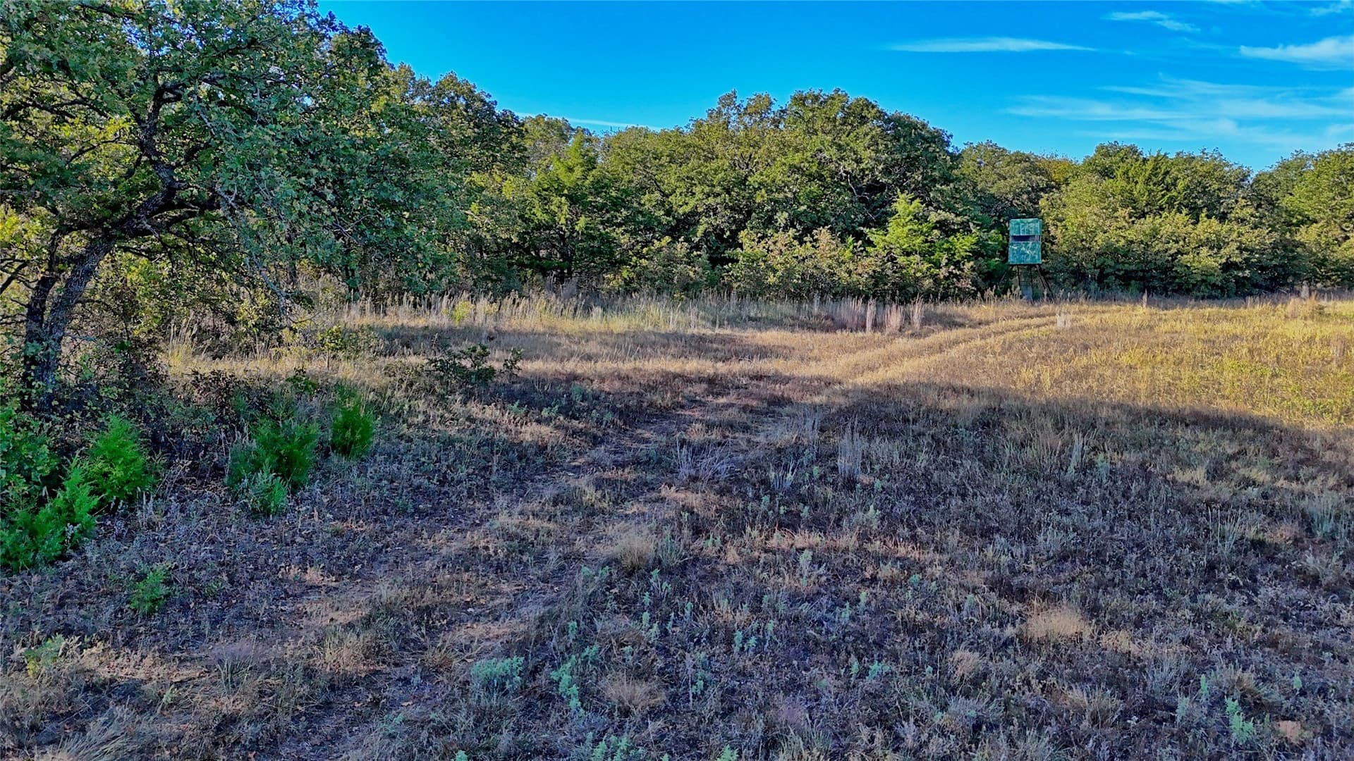 46 acres in Clay County - photo 14