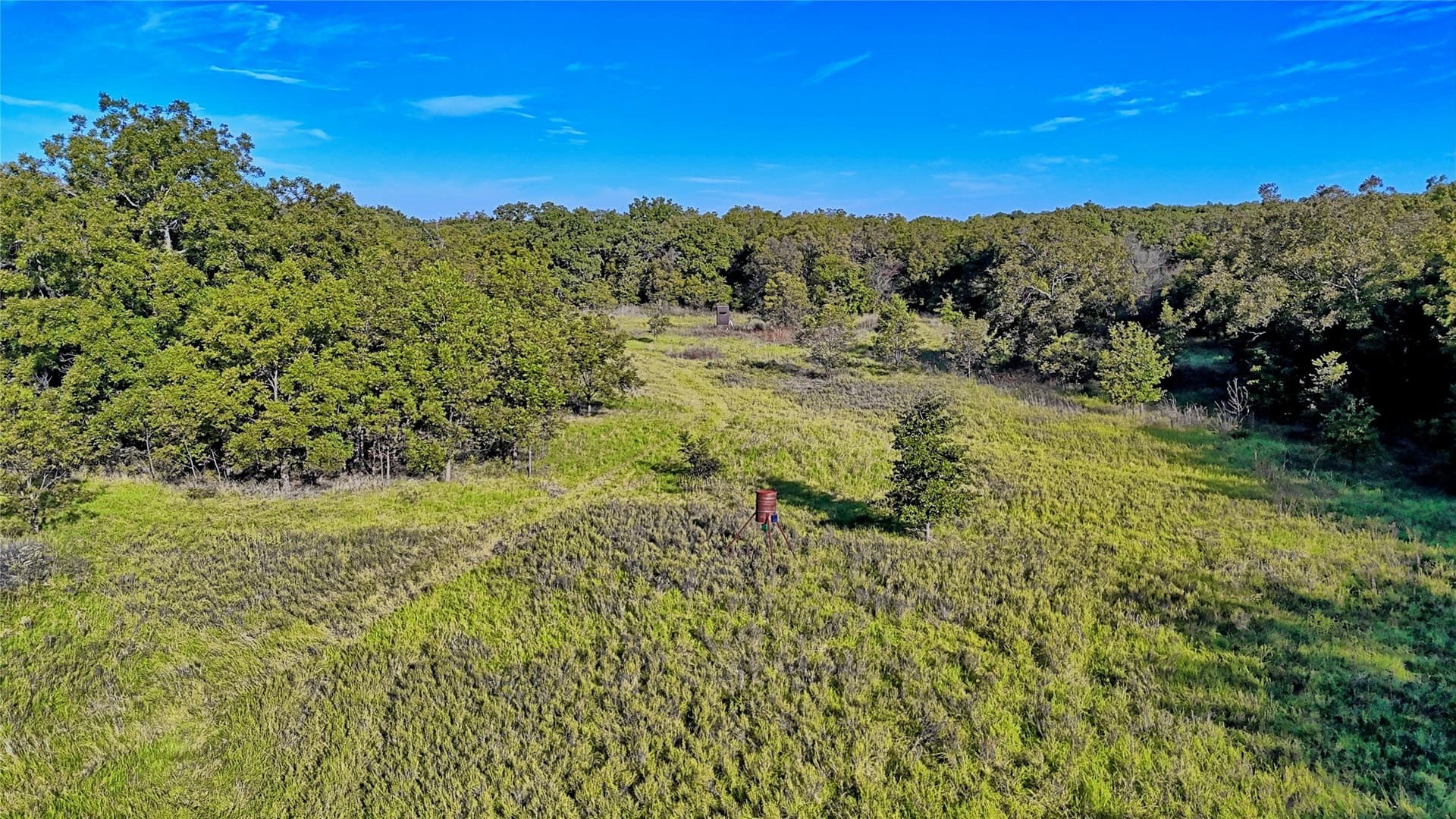 46 acres in Clay County - photo 9