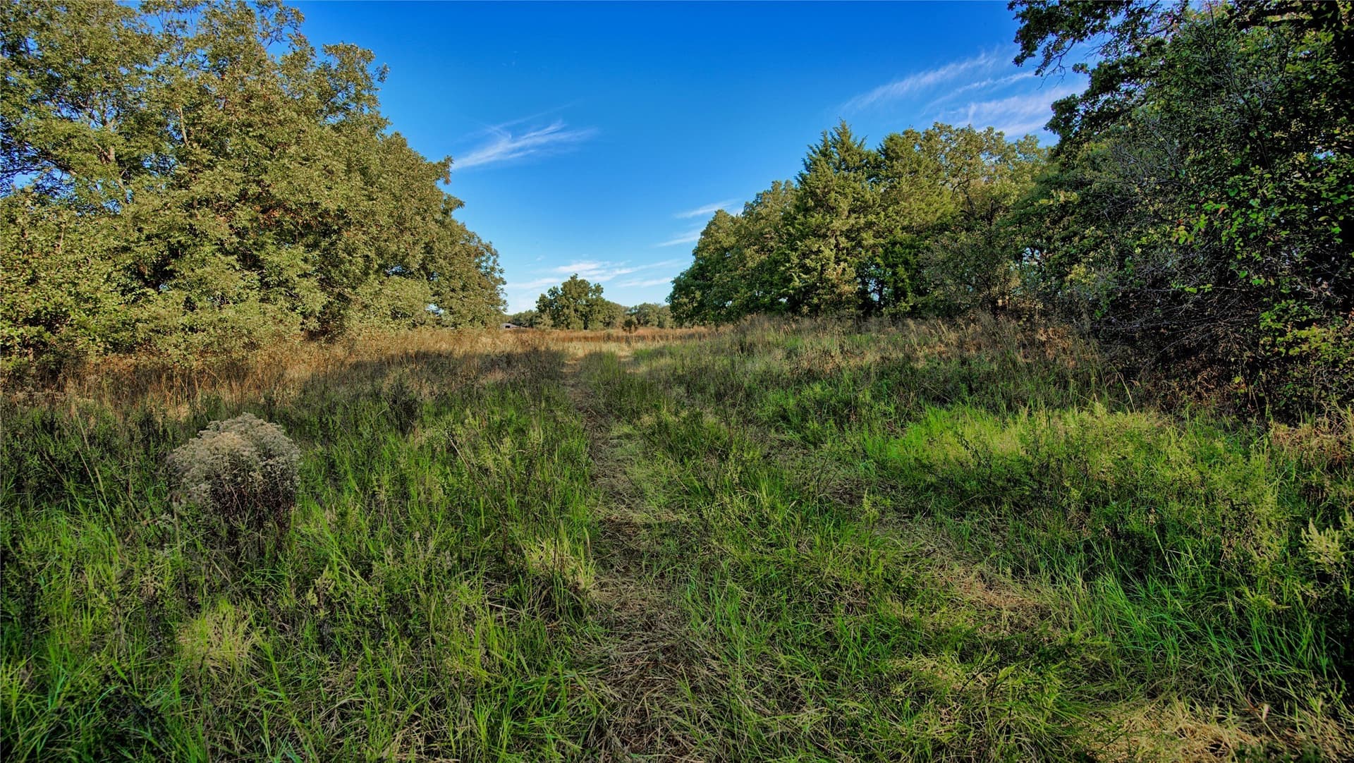 46 acres in Clay County - photo 7