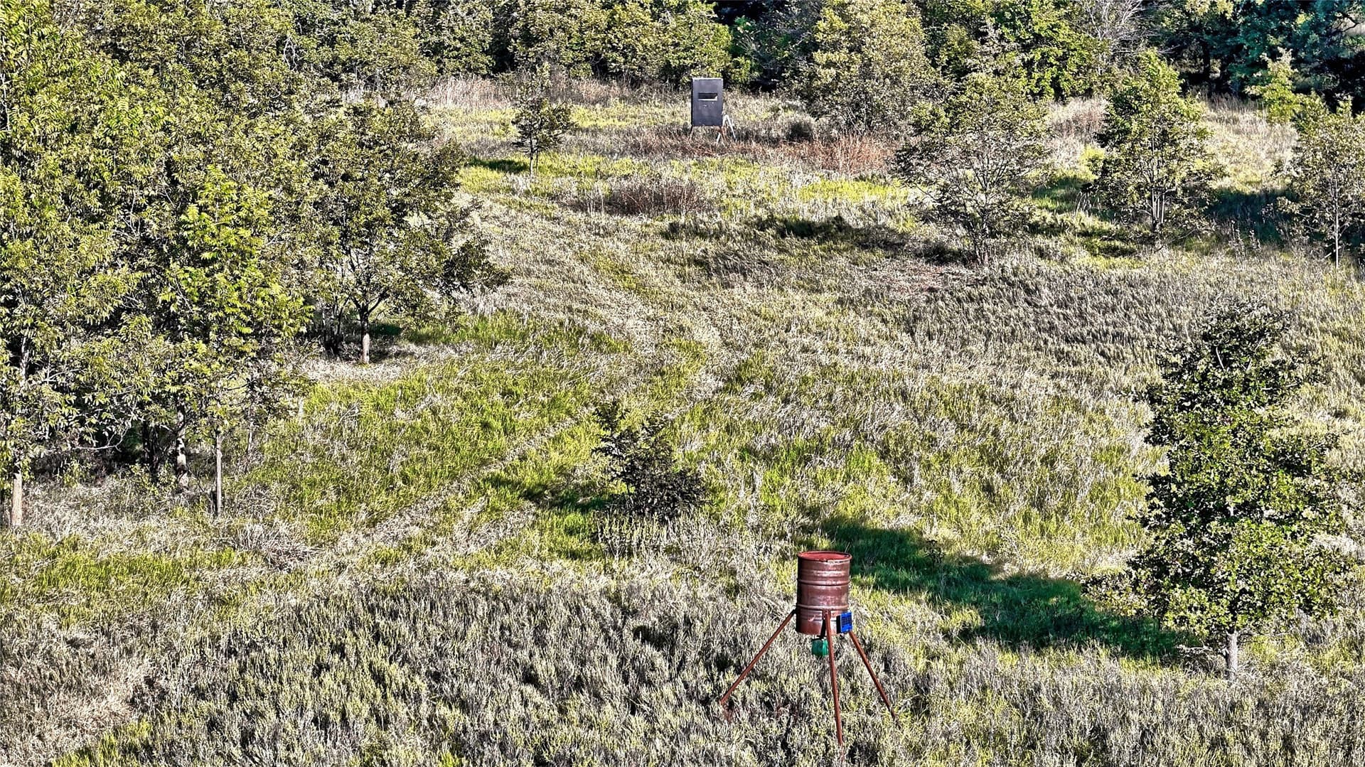 46 acres in Clay County - photo 2