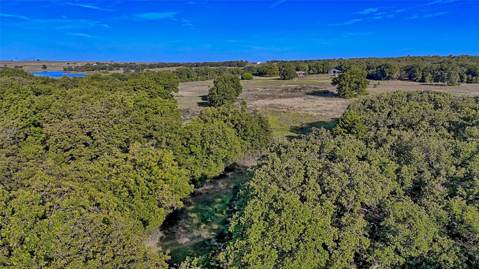 46 acres in Clay County - photo 30