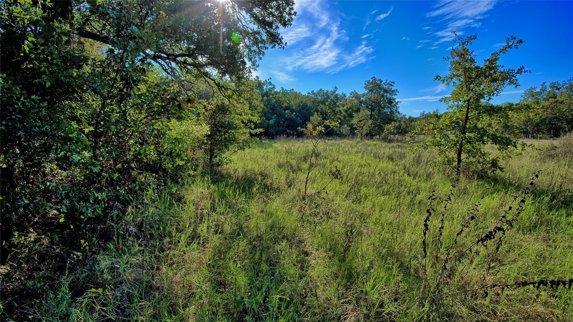 46 acres in Clay County - photo 12