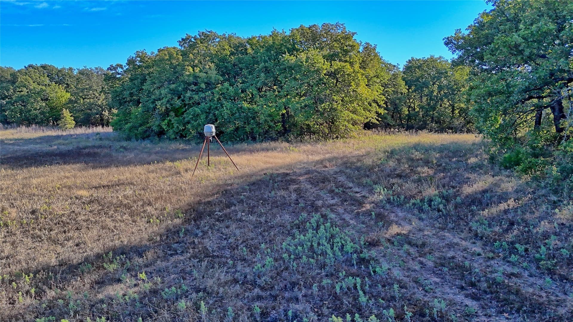 46 acres in Clay County - photo 13
