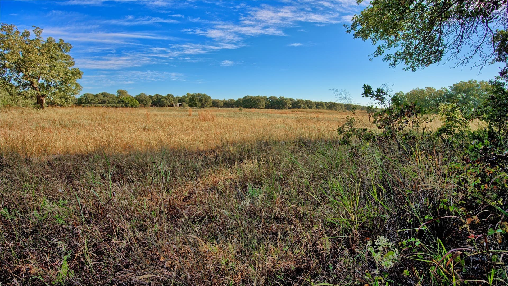 46 acres in Clay County - photo 35