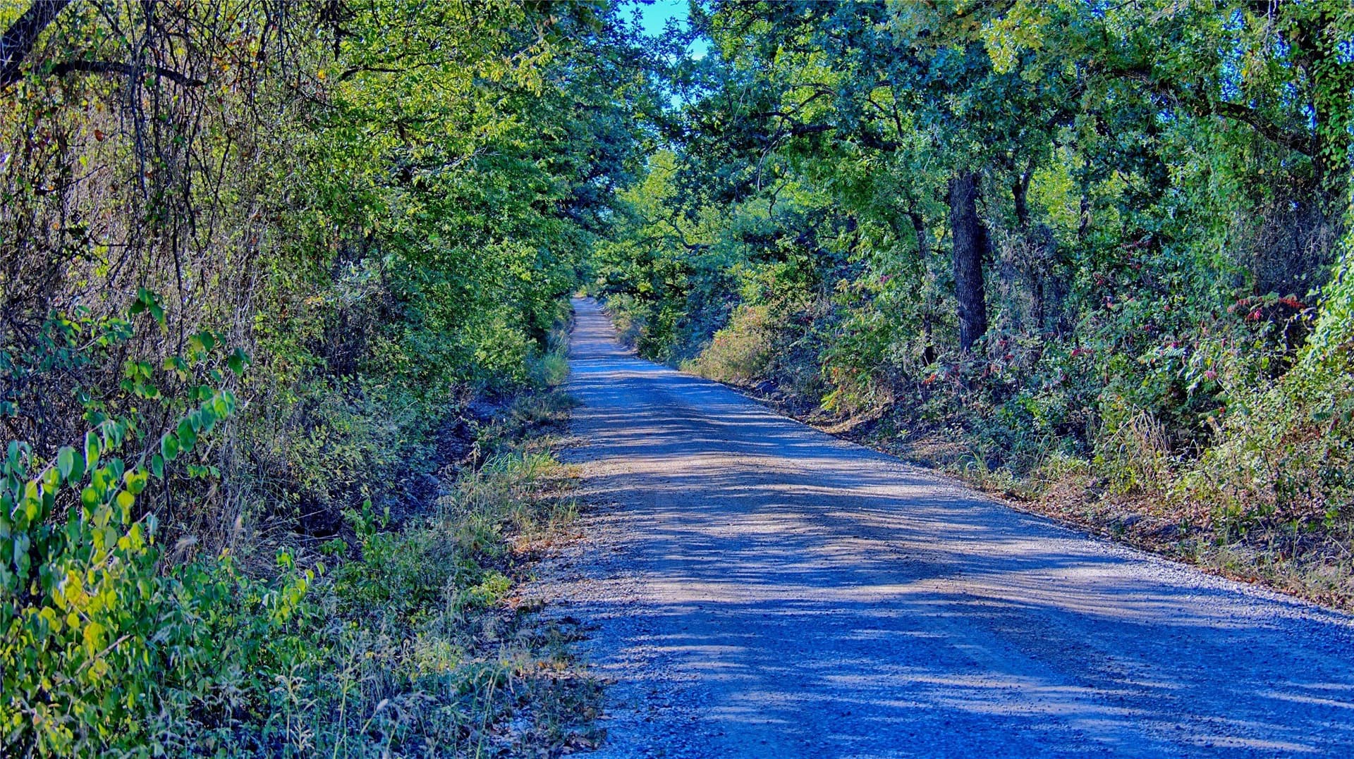 46 acres in Clay County - photo 26
