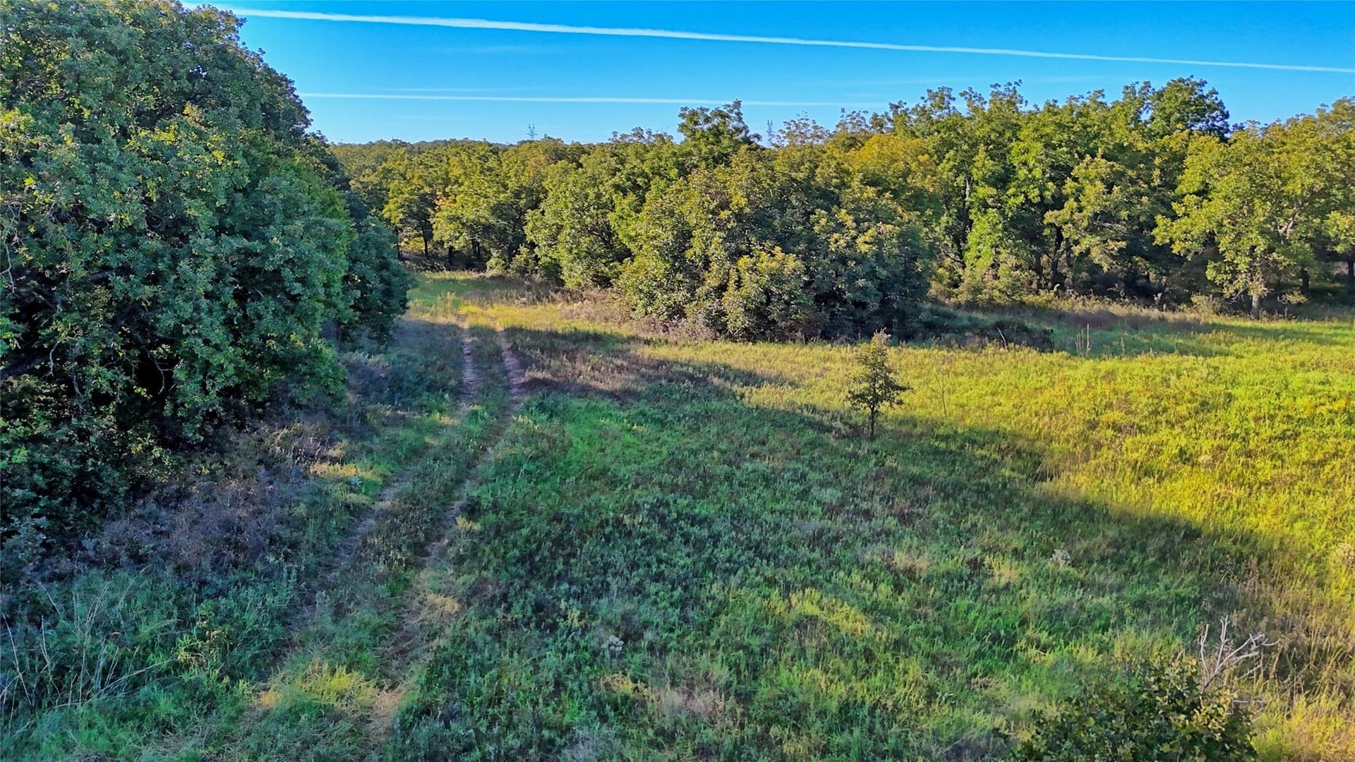 46 acres in Clay County - photo 29