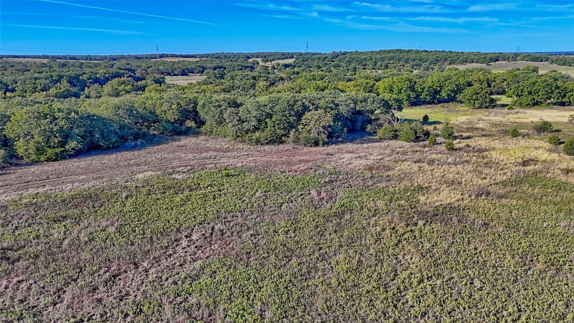 46 acres in Clay County - photo 28