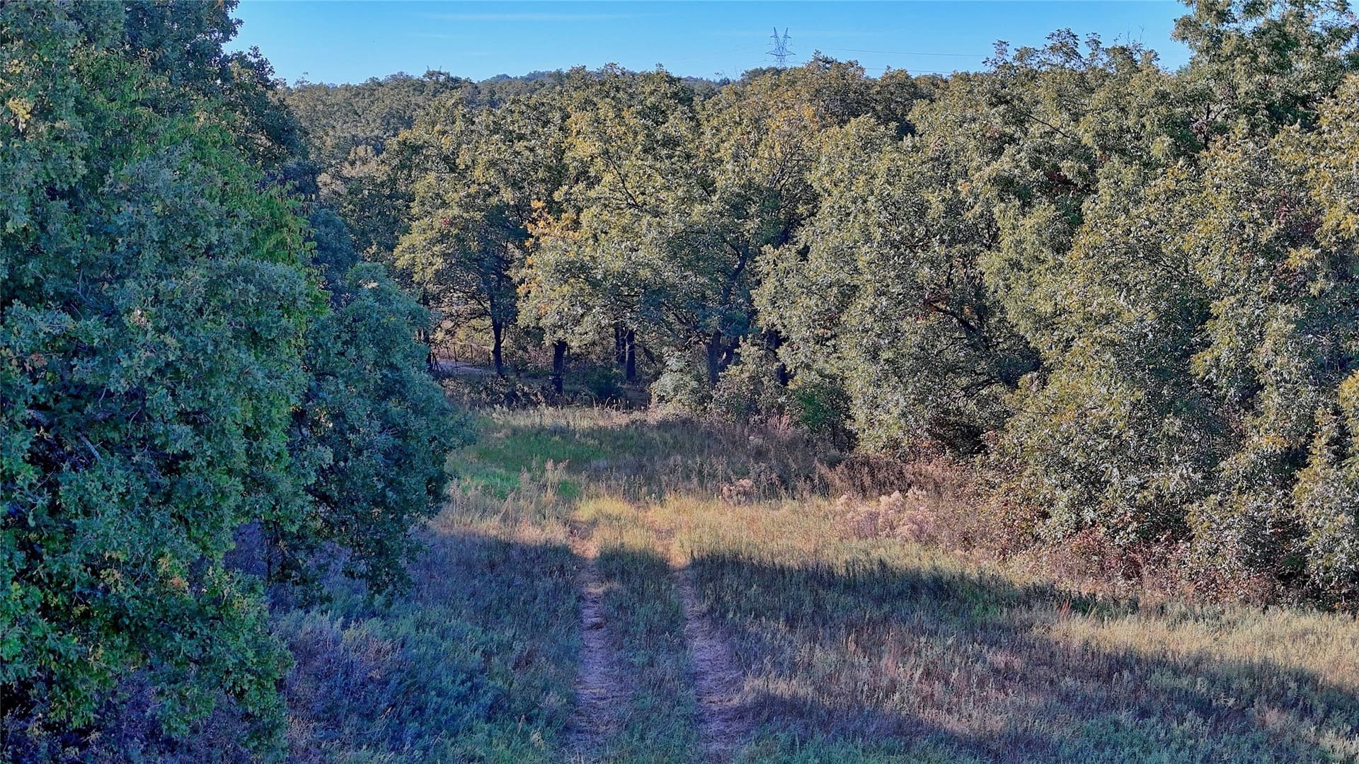 46 acres in Clay County - photo 6