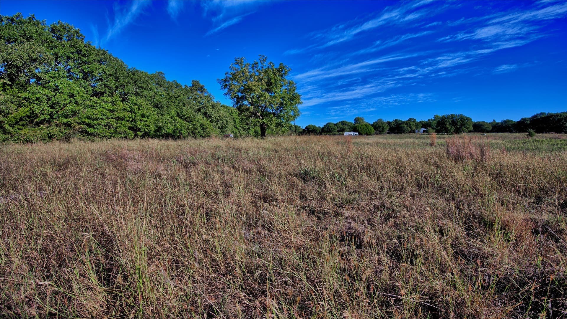 46 acres in Clay County - photo 23