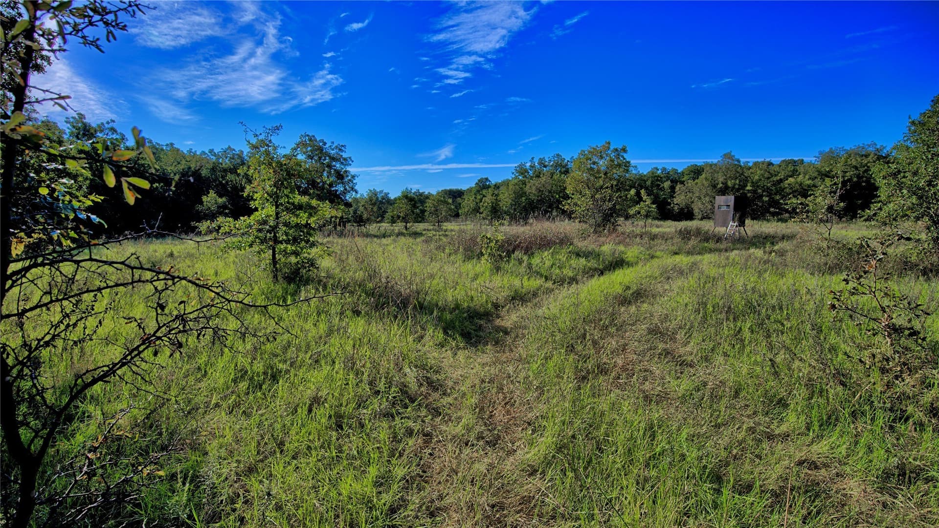 46 acres in Clay County - photo 10