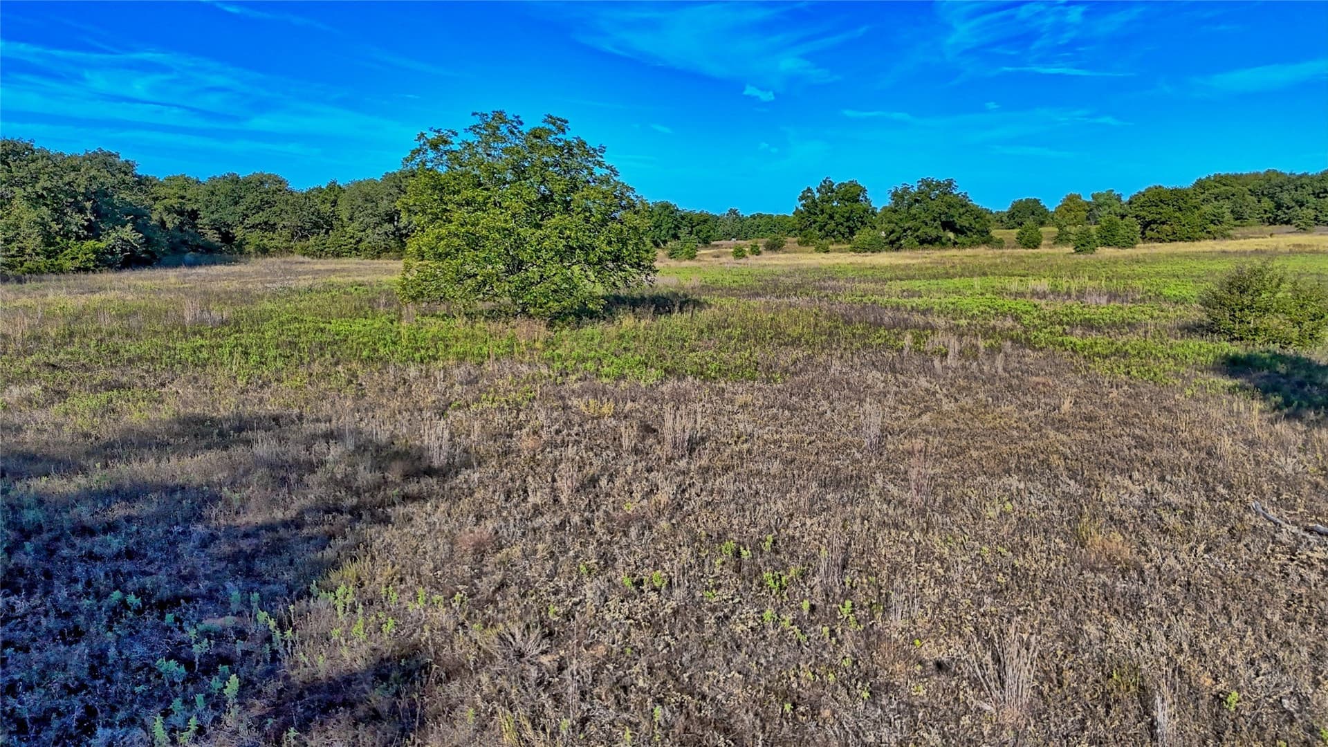 46 acres in Clay County - photo 20
