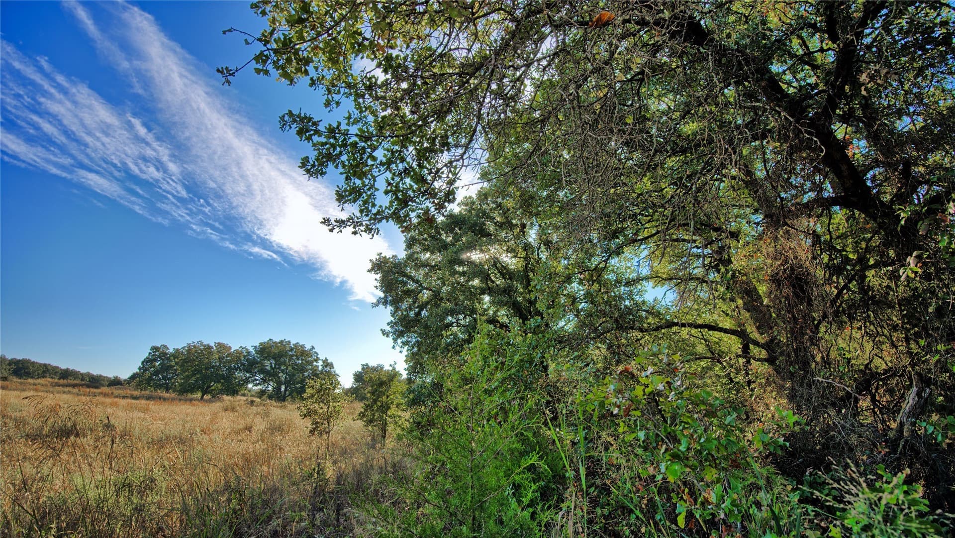 46 acres in Clay County - photo 27