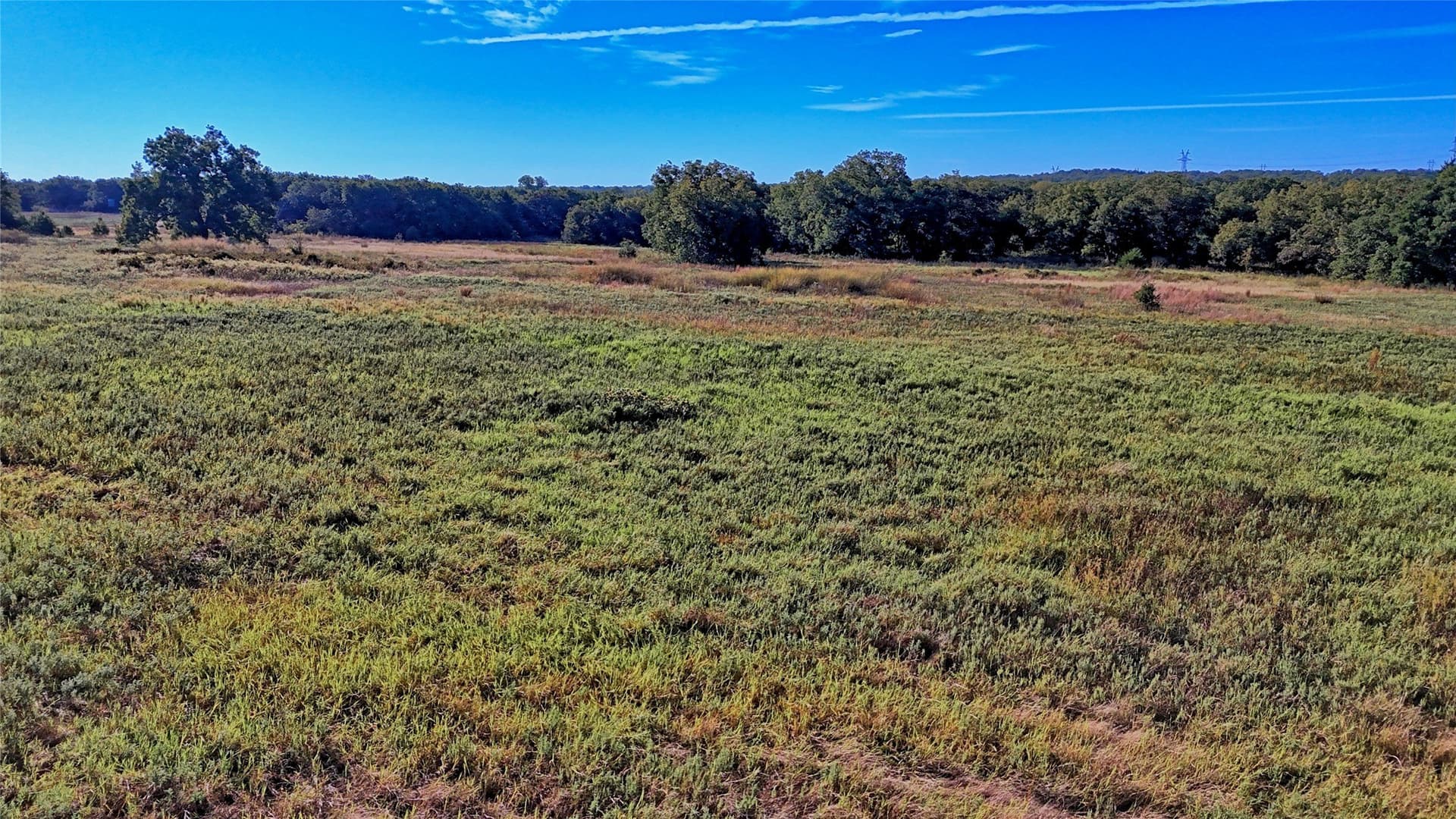 46 acres in Clay County - photo 24