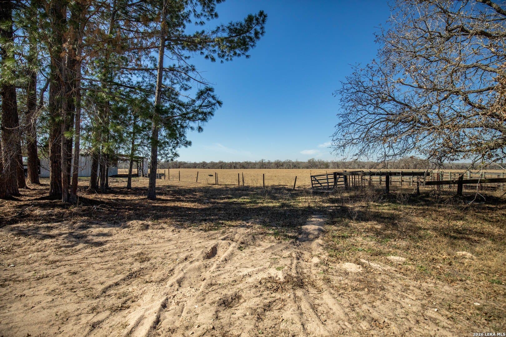 298 acres in Wilson County - photo 4