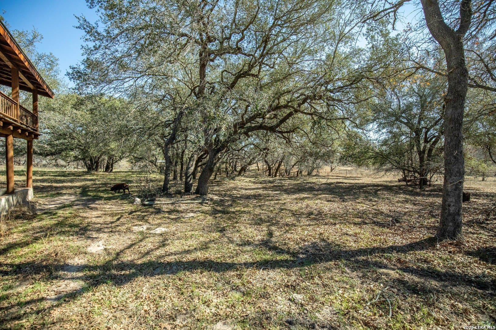 298 acres in Wilson County - photo 22