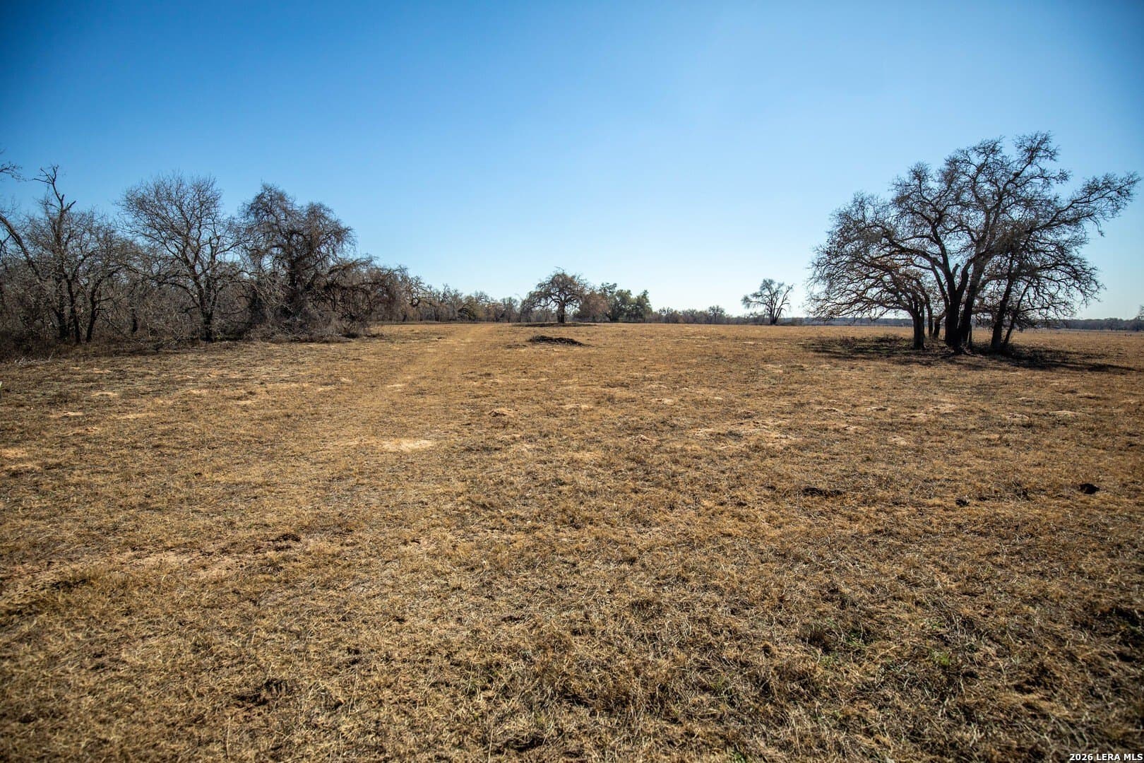 298 acres in Wilson County - photo 10