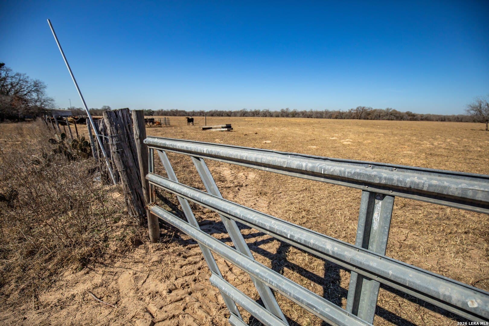 298 acres in Wilson County - photo 5