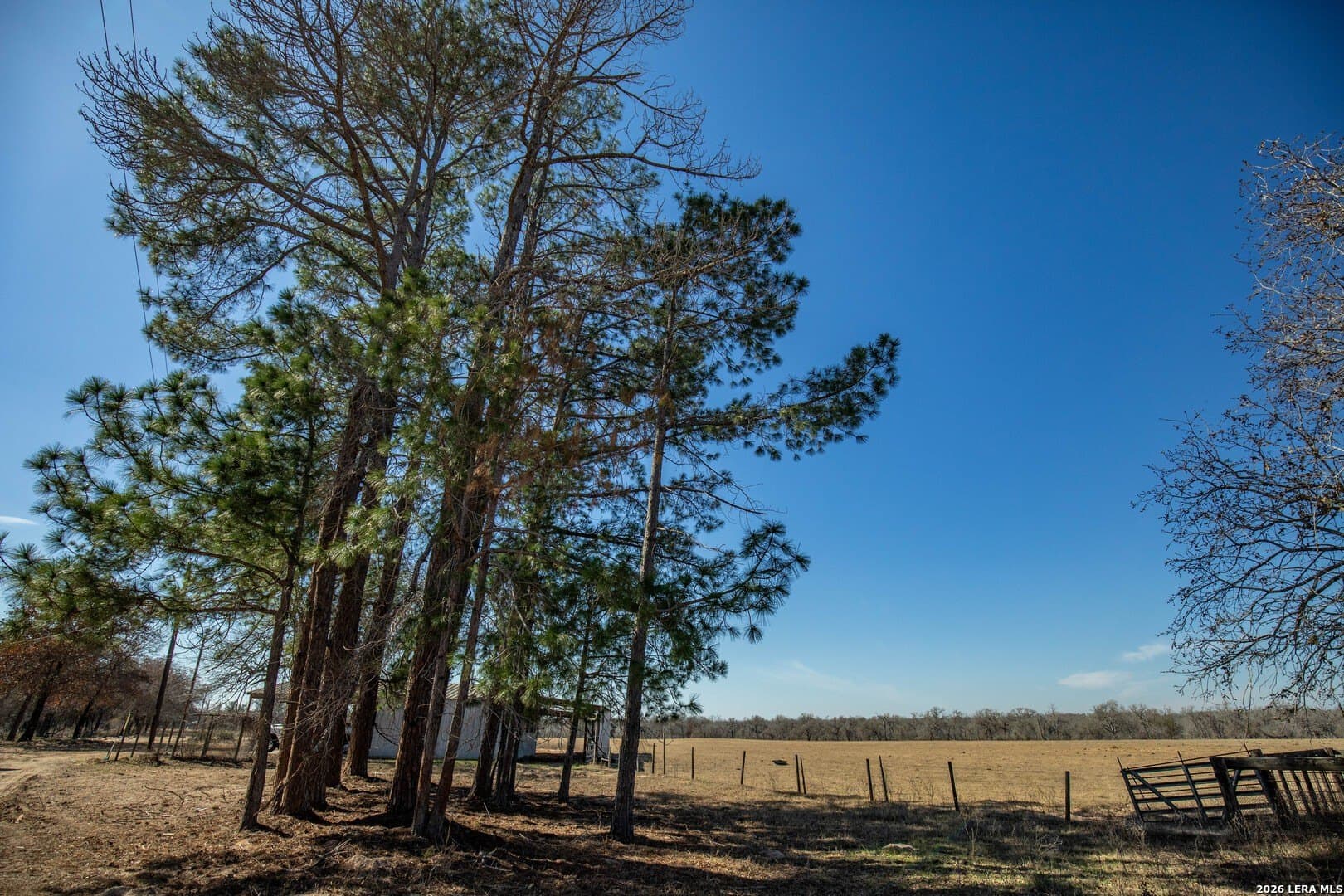 298 acres in Wilson County - photo 15