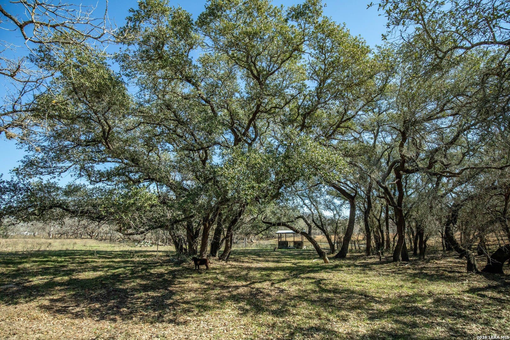 298 acres in Wilson County - photo 24