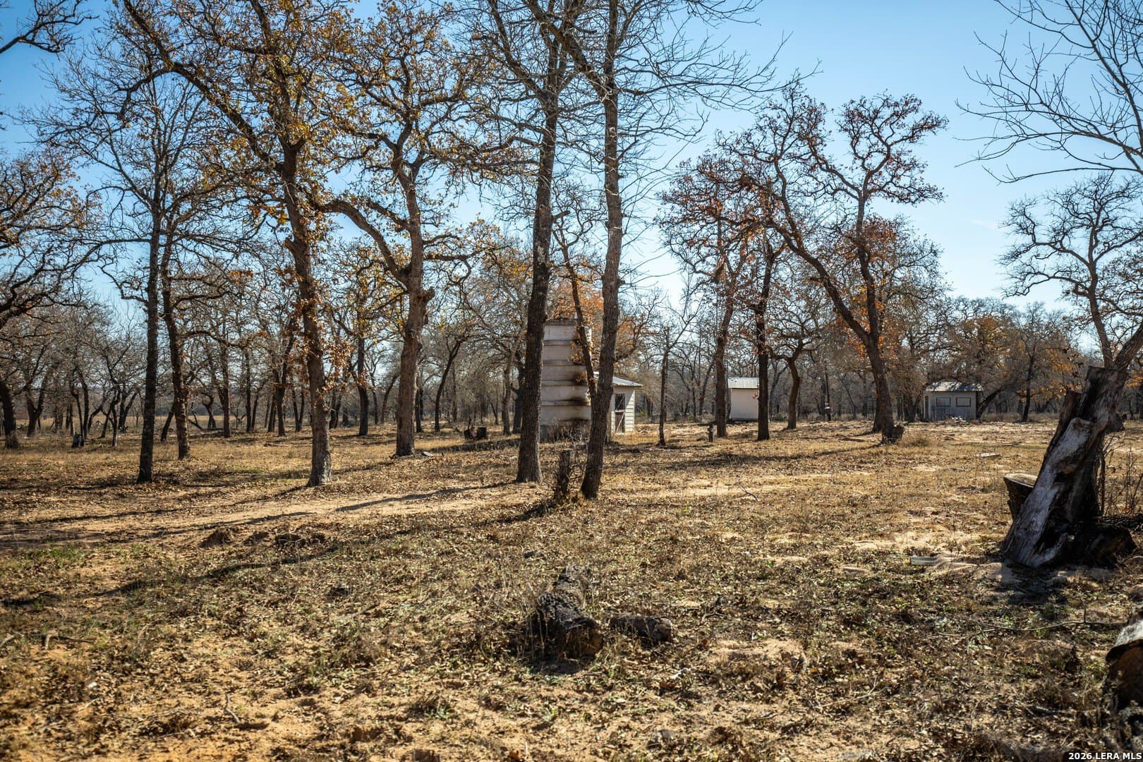 298 acres in Wilson County - photo 39
