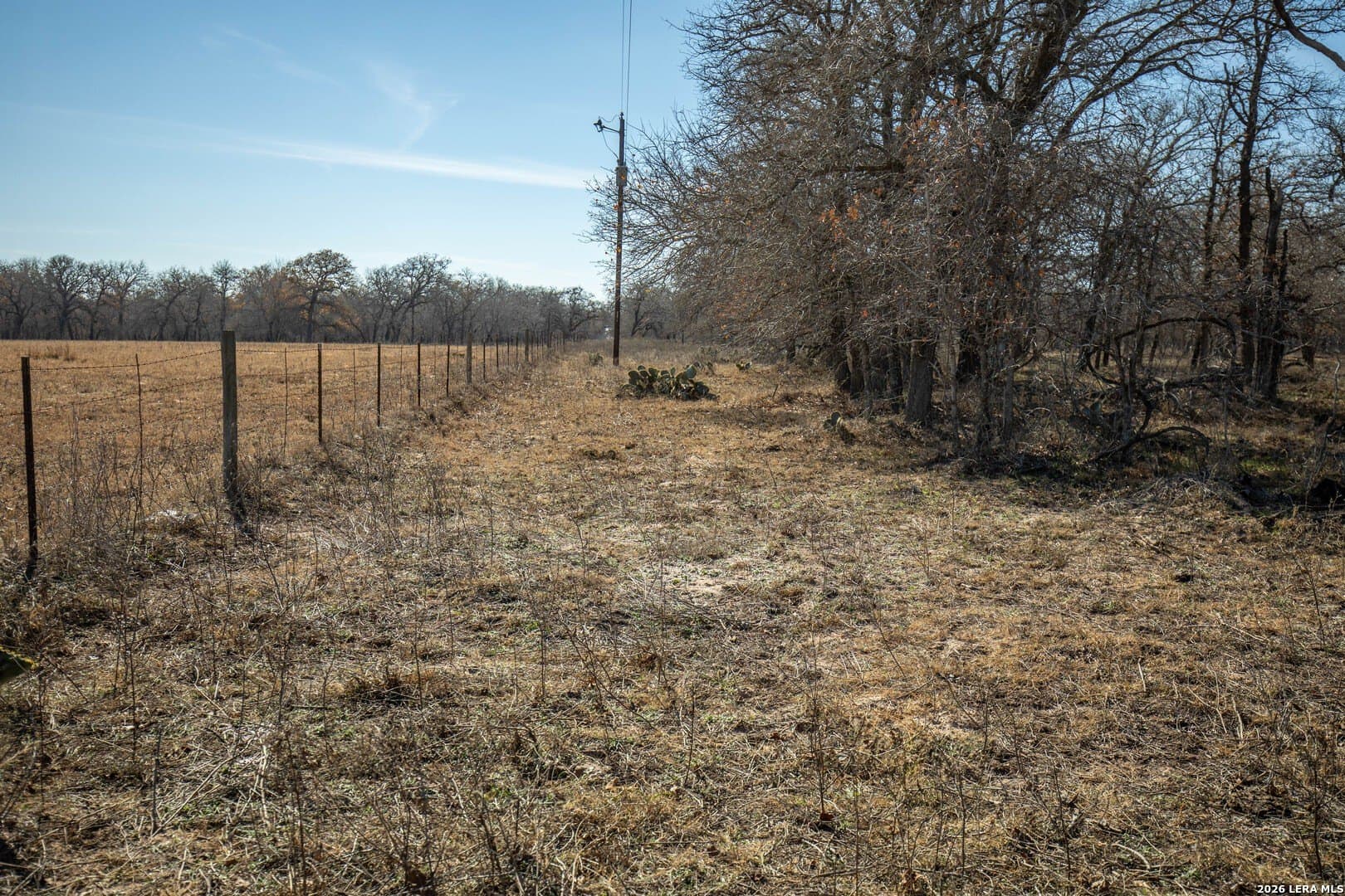 298 acres in Wilson County - photo 42