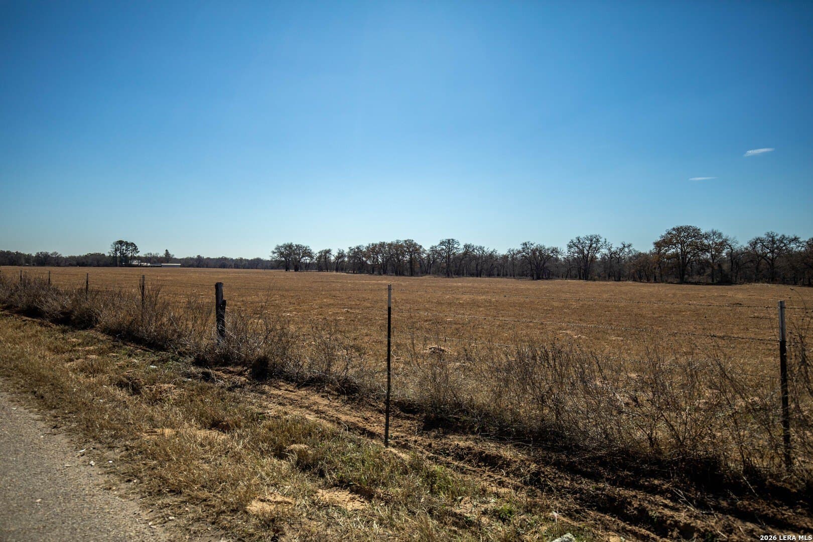 298 acres in Wilson County - photo 13