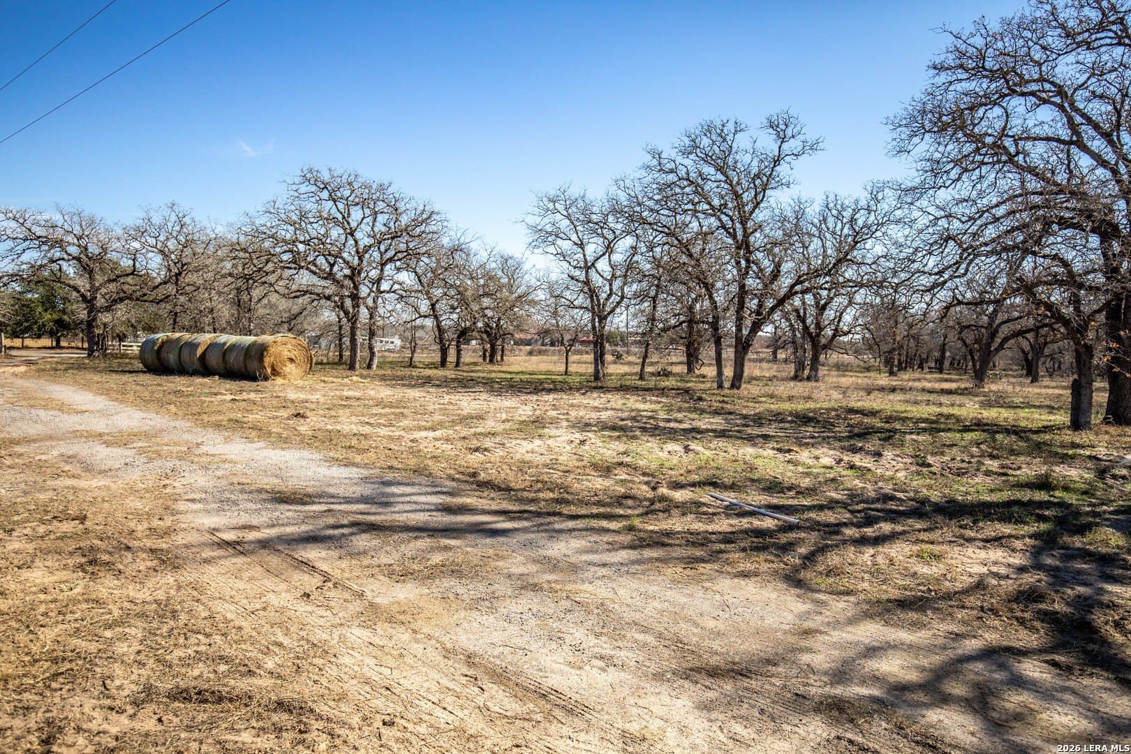 298 acres in Wilson County - photo 6