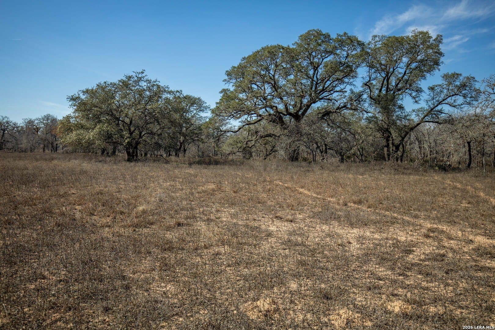 298 acres in Wilson County - photo 36