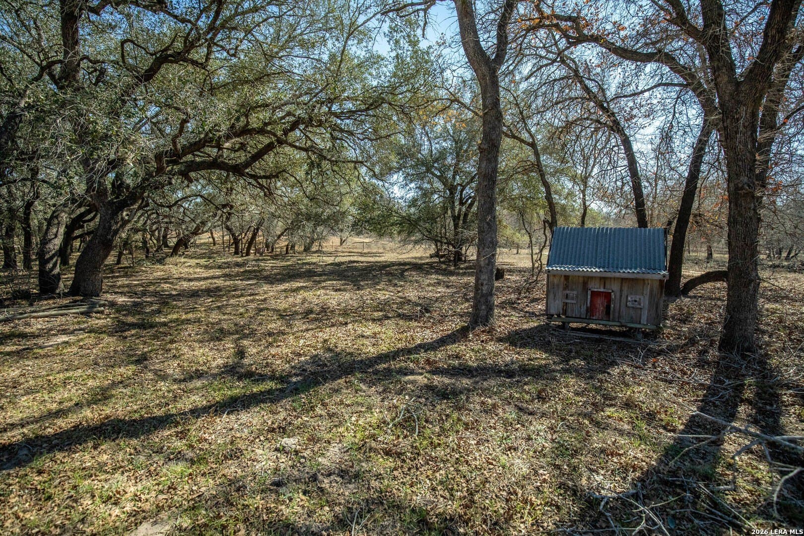 298 acres in Wilson County - photo 21