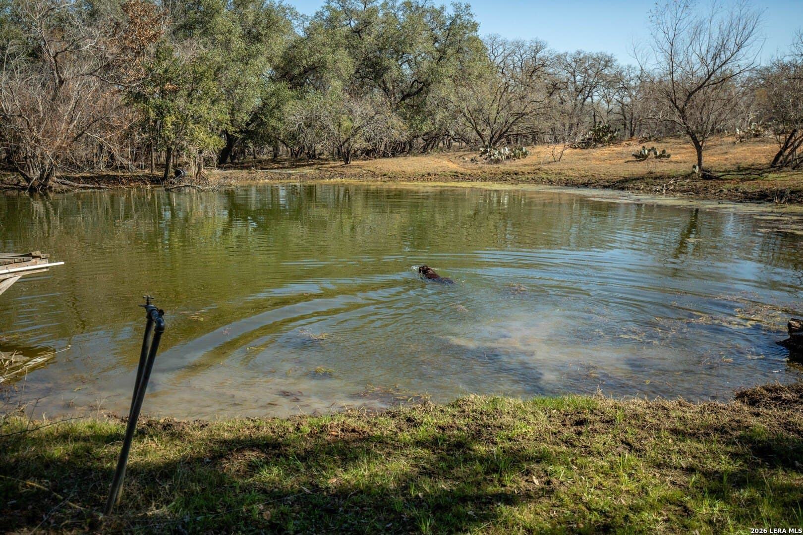 298 acres in Wilson County - photo 27