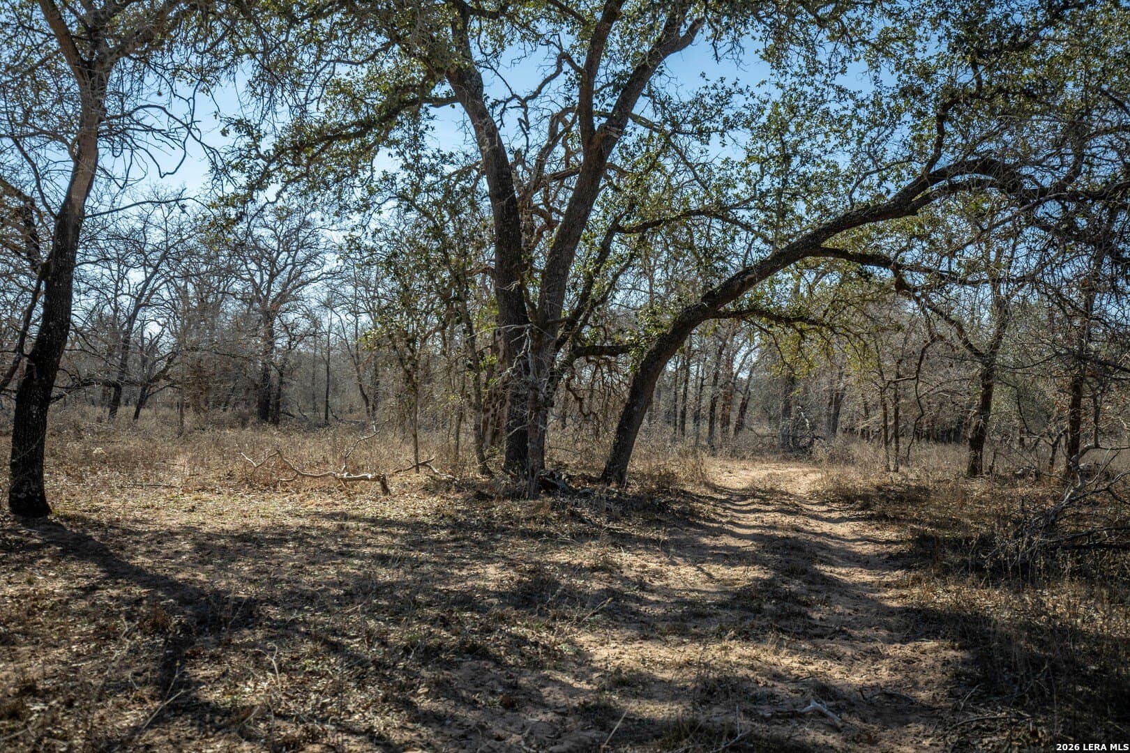 298 acres in Wilson County - photo 35