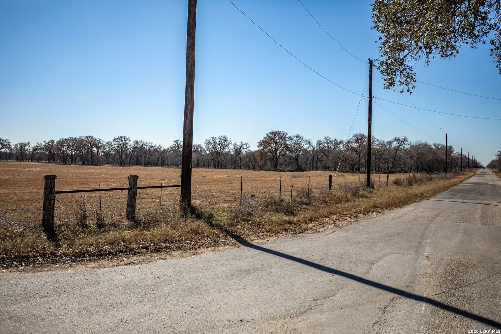 298 acres in Wilson County - photo 8